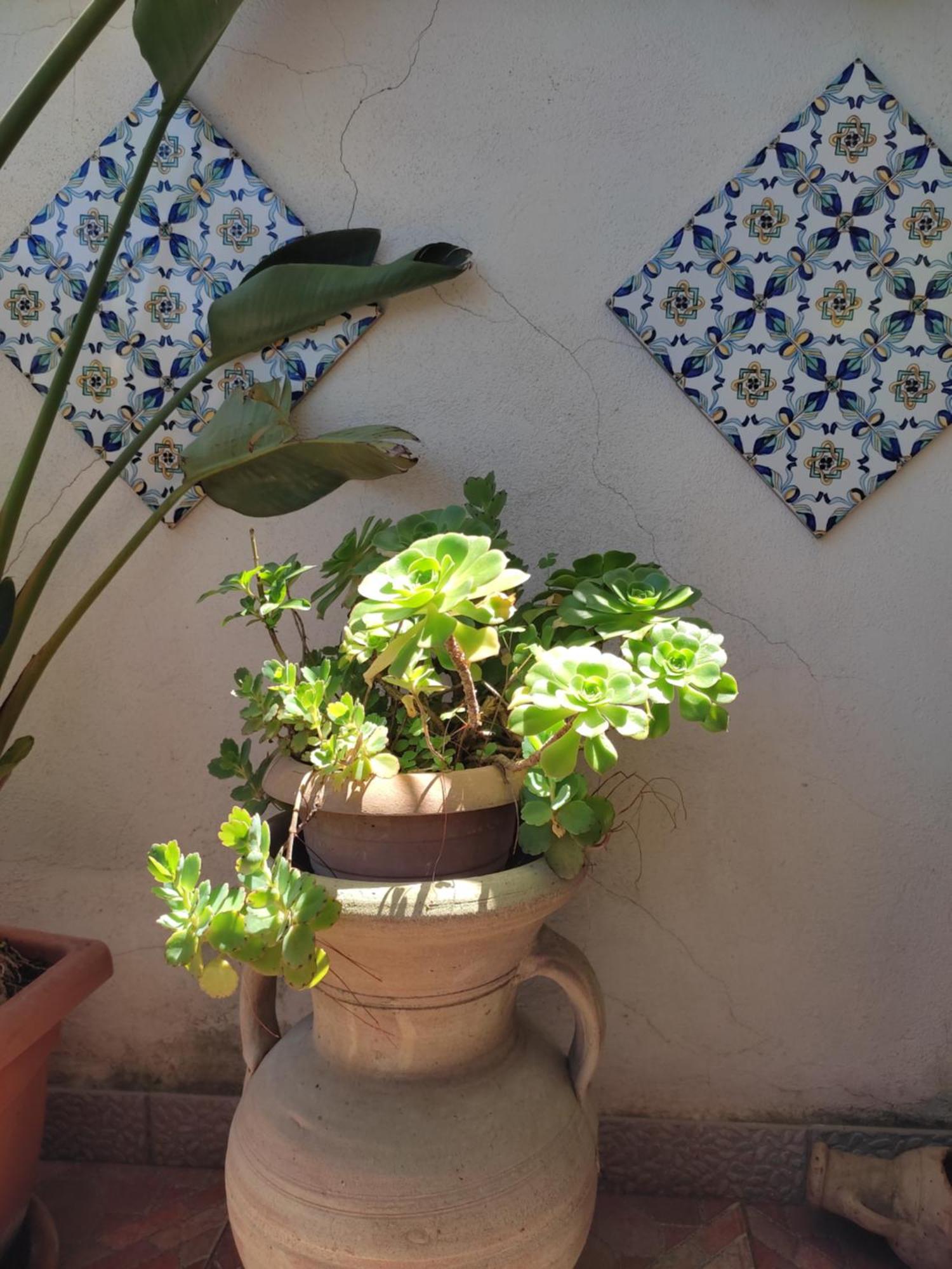 Ferienwohnung La Terrazza Di Massimo Palermo Exterior foto